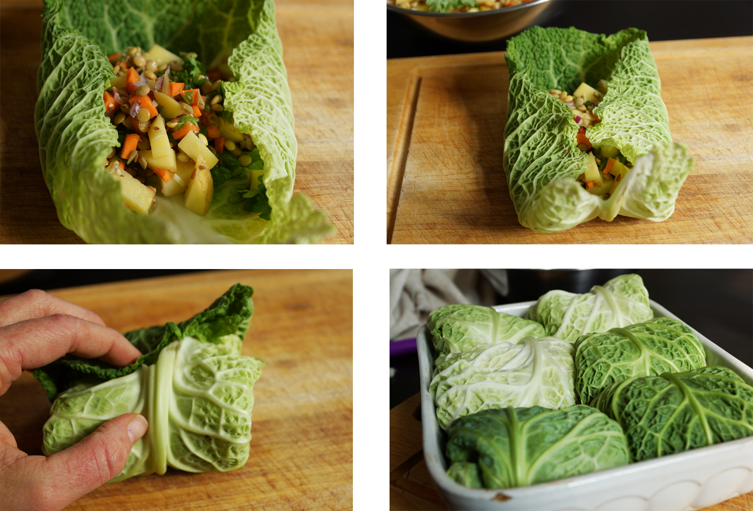 Vegan cabbage wraps with lentils / vegane Kohlrouladen mit Linsen