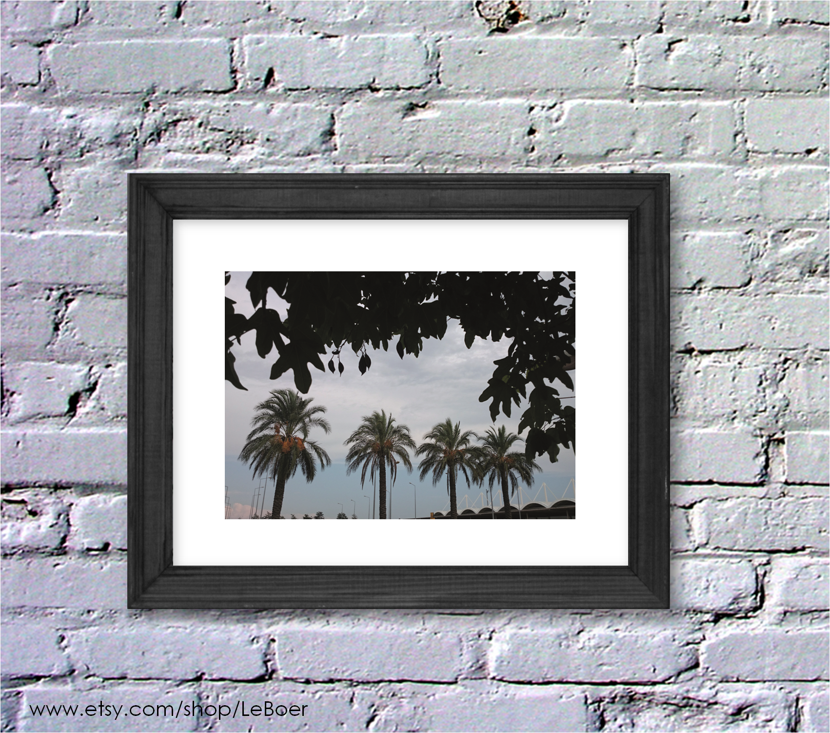 Mockup_4Date-Palms_color_wall_LeBoer